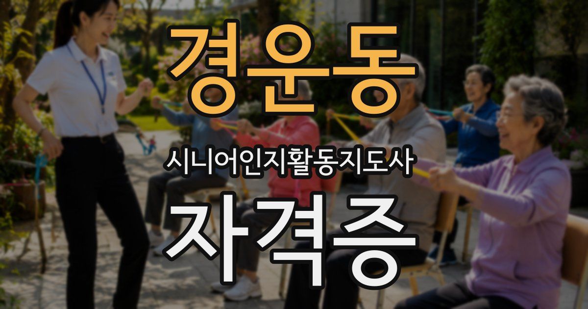 경운동 시니어인지활동지도사 자격증