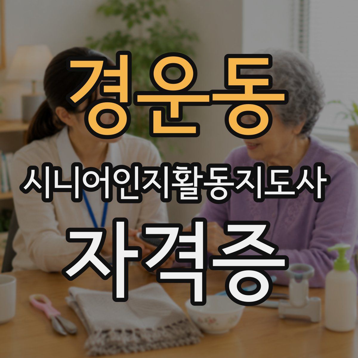 경운동 시니어인지활동지도사 자격증