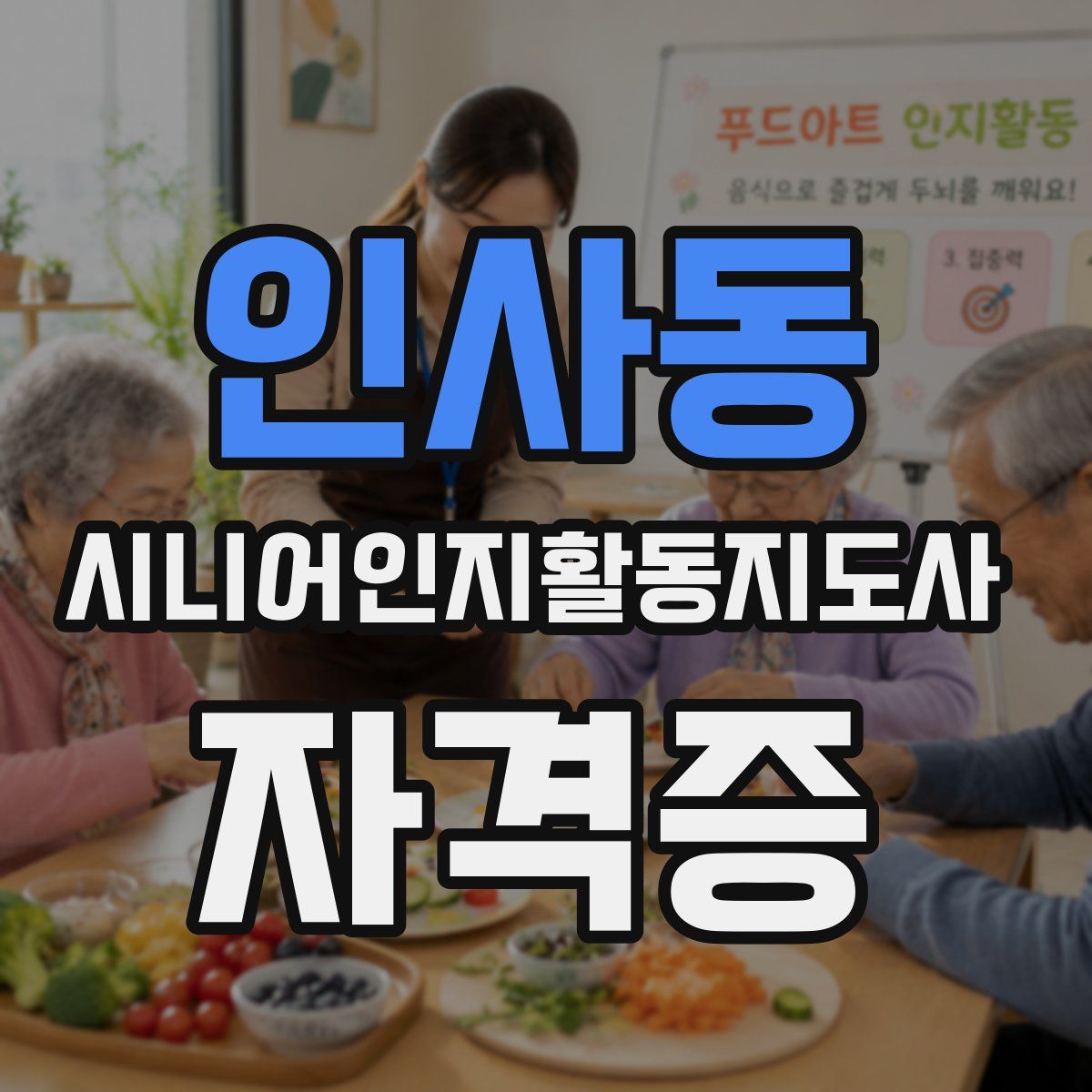 인사동 시니어인지활동지도사 자격증