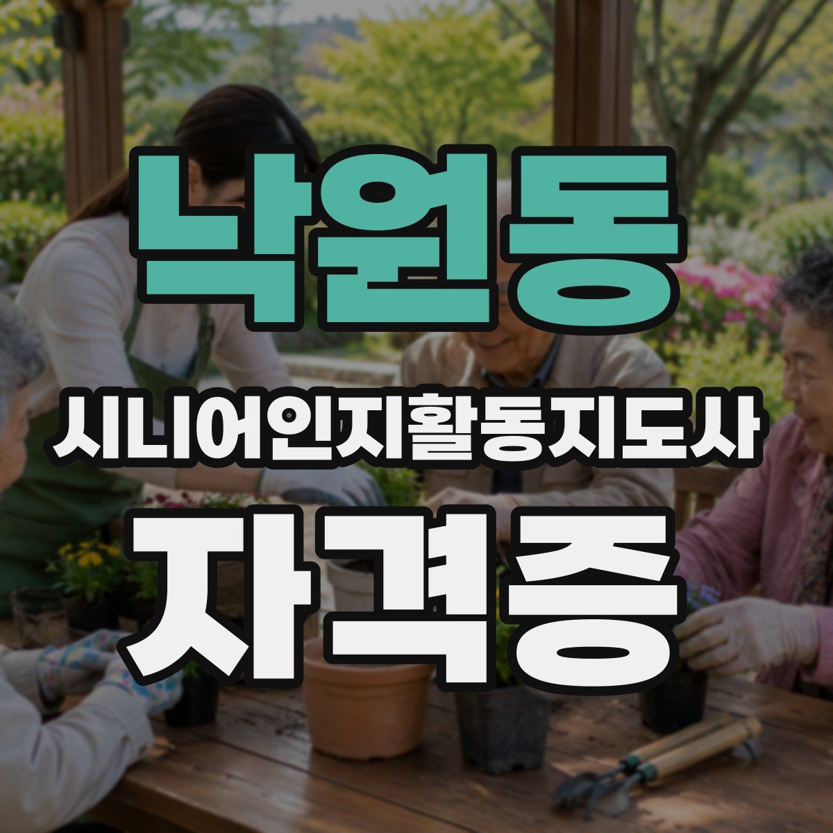 낙원동 시니어인지활동지도사 자격증