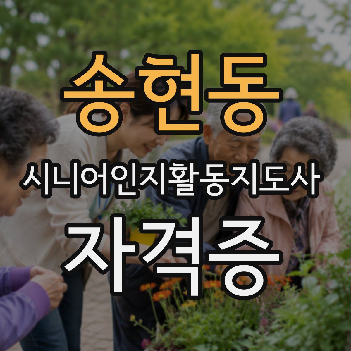 송현동 시니어인지활동지도사 자격증