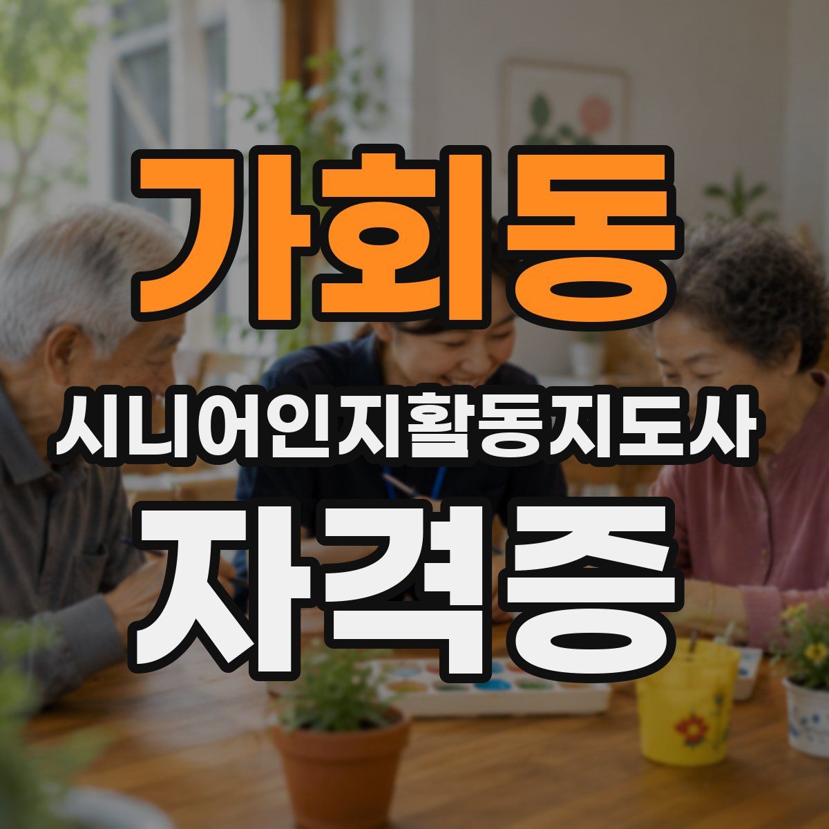 가회동 시니어인지활동지도사 자격증