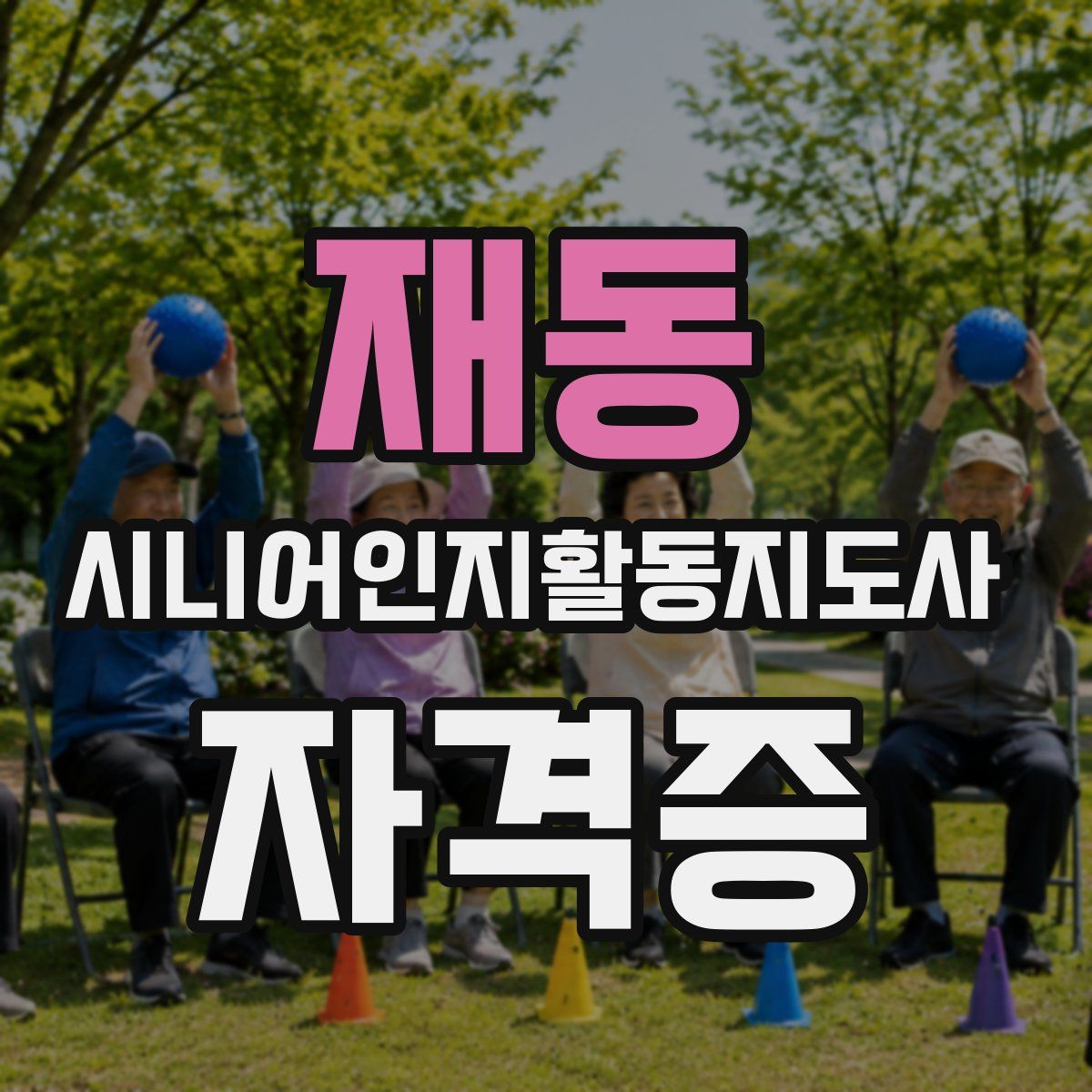 재동 시니어인지활동지도사 자격증