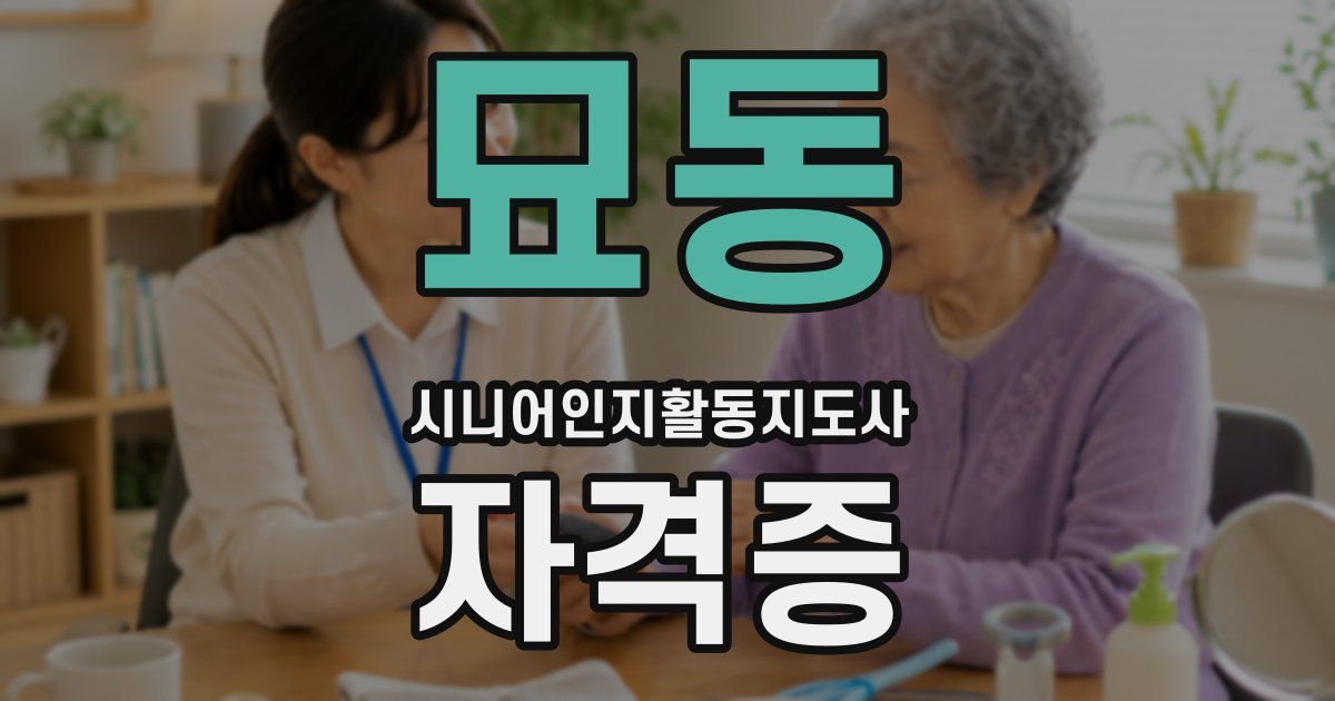 묘동 시니어인지활동지도사 자격증