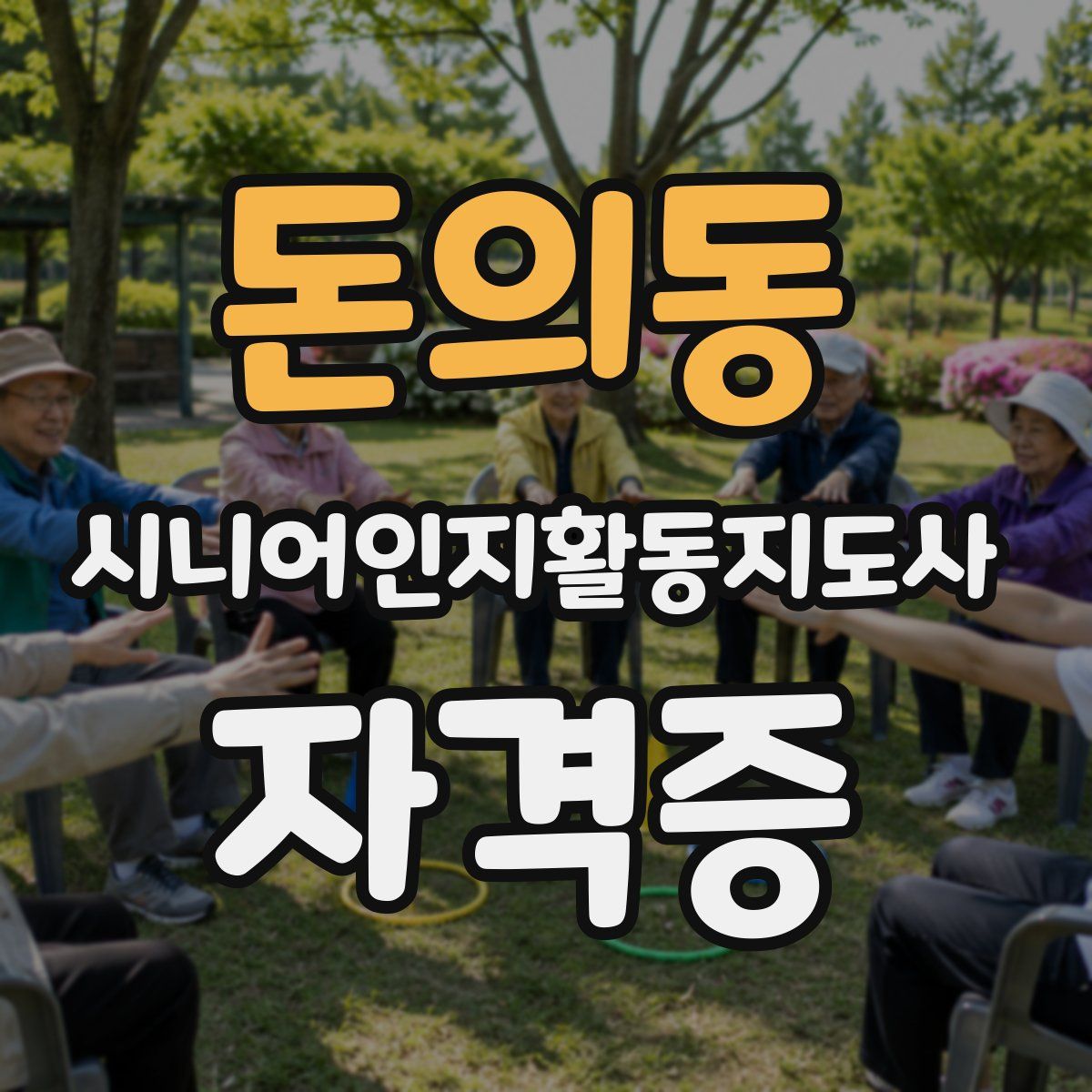 돈의동 시니어인지활동지도사 자격증