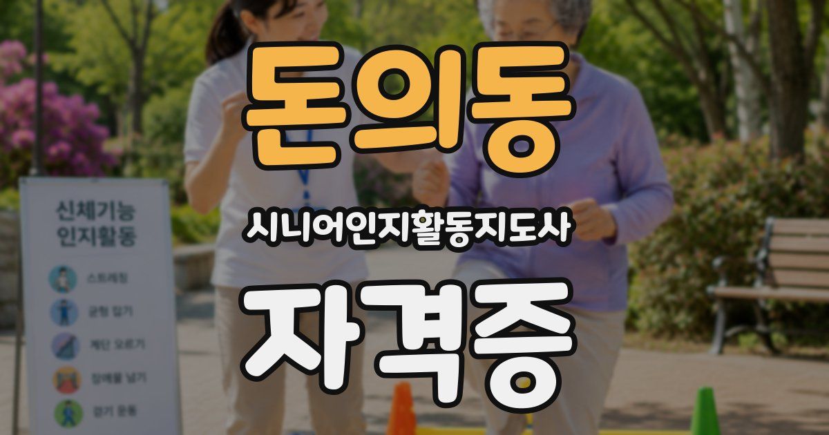 돈의동 시니어인지활동지도사 자격증