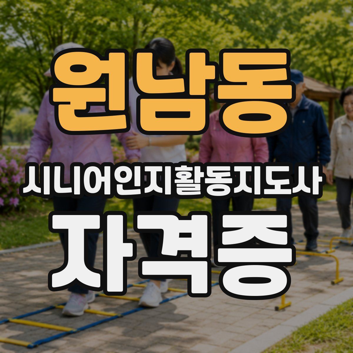 원남동 시니어인지활동지도사 자격증
