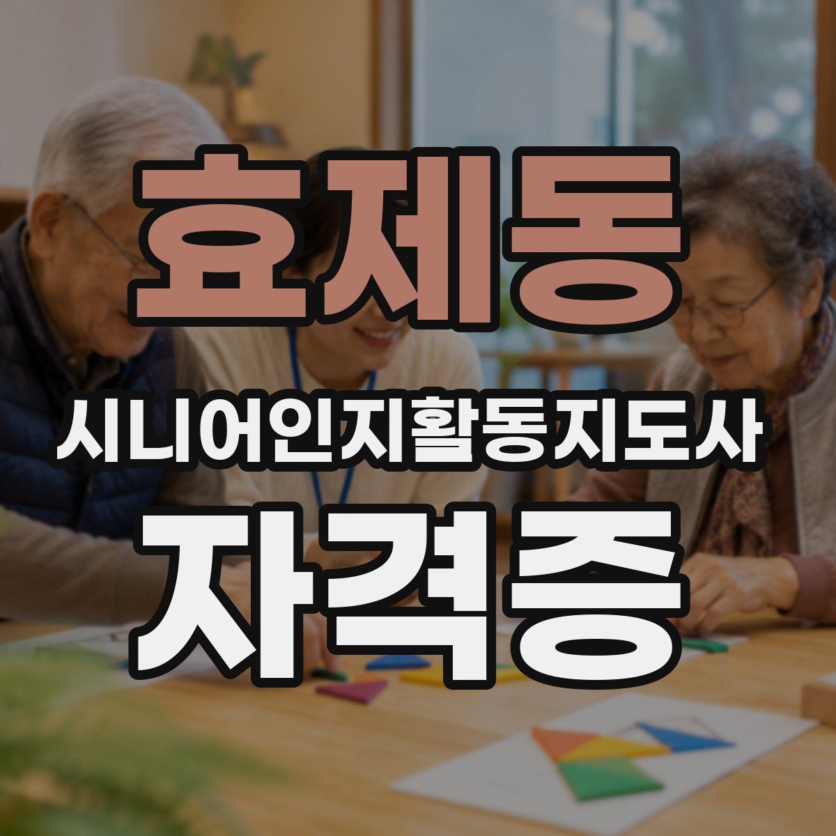 효제동 시니어인지활동지도사 자격증