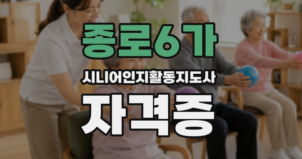 종로6가 시니어인지활동지도사 자격증