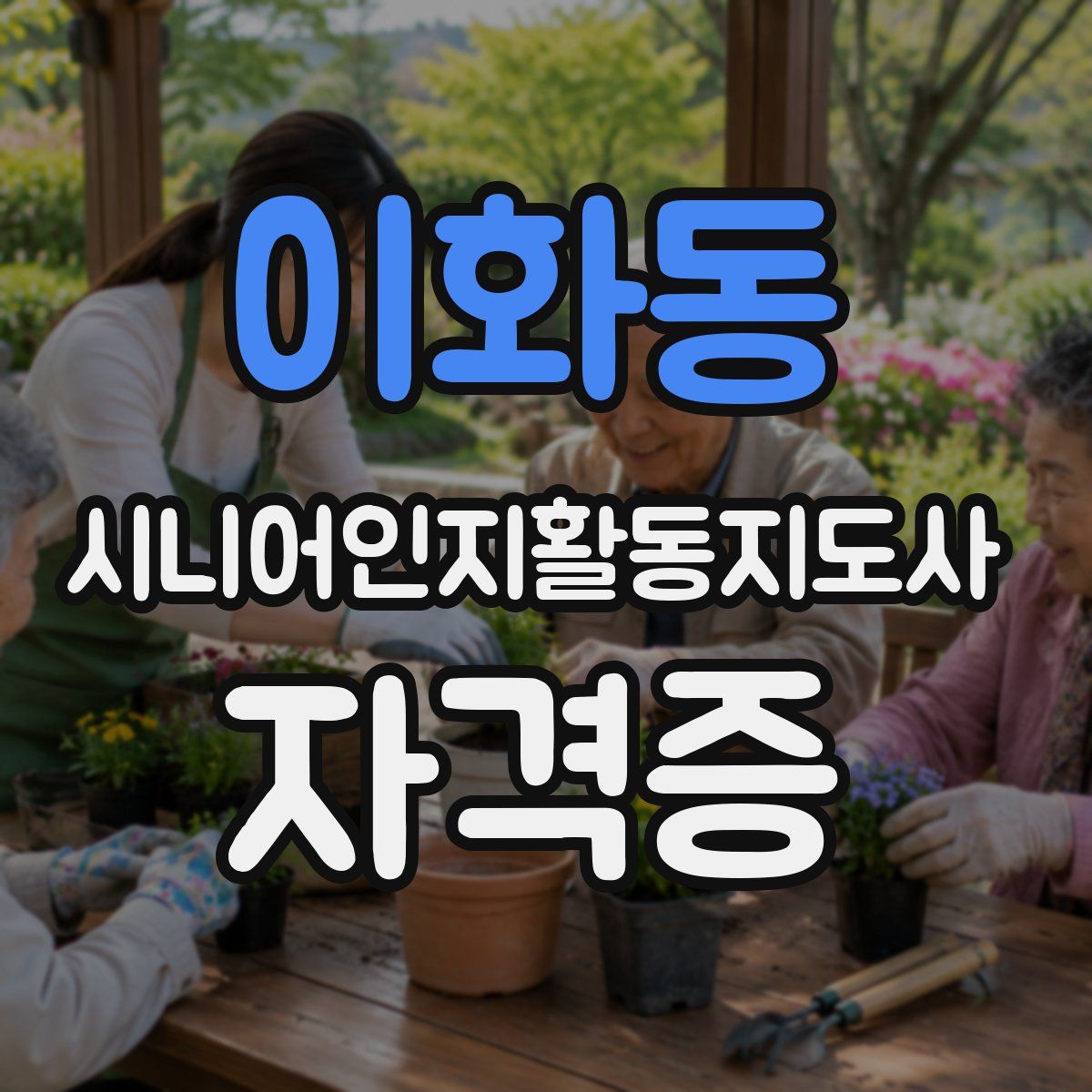 이화동 시니어인지활동지도사 자격증