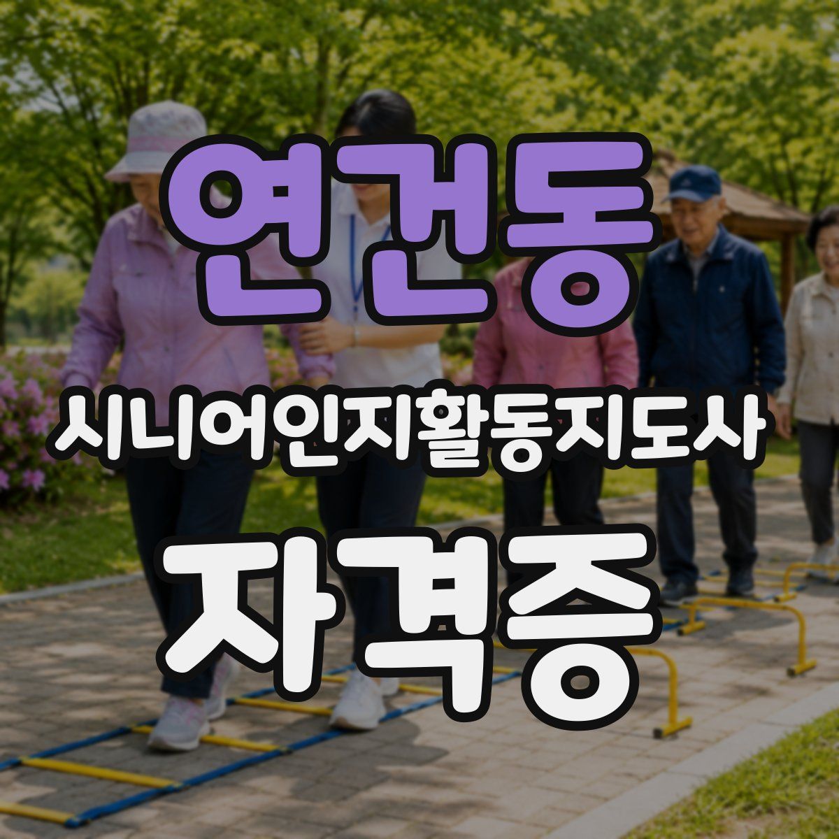 연건동 시니어인지활동지도사 자격증