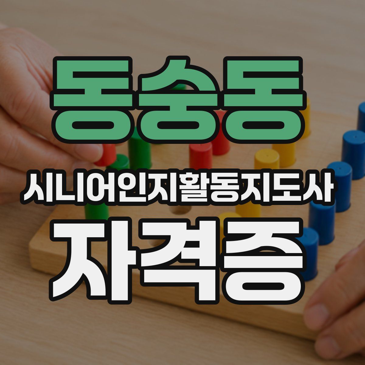 동숭동 시니어인지활동지도사 자격증