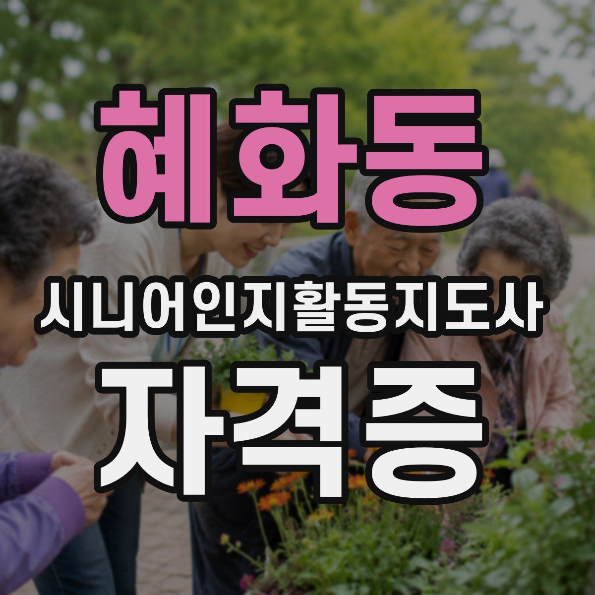 혜화동 시니어인지활동지도사 자격증
