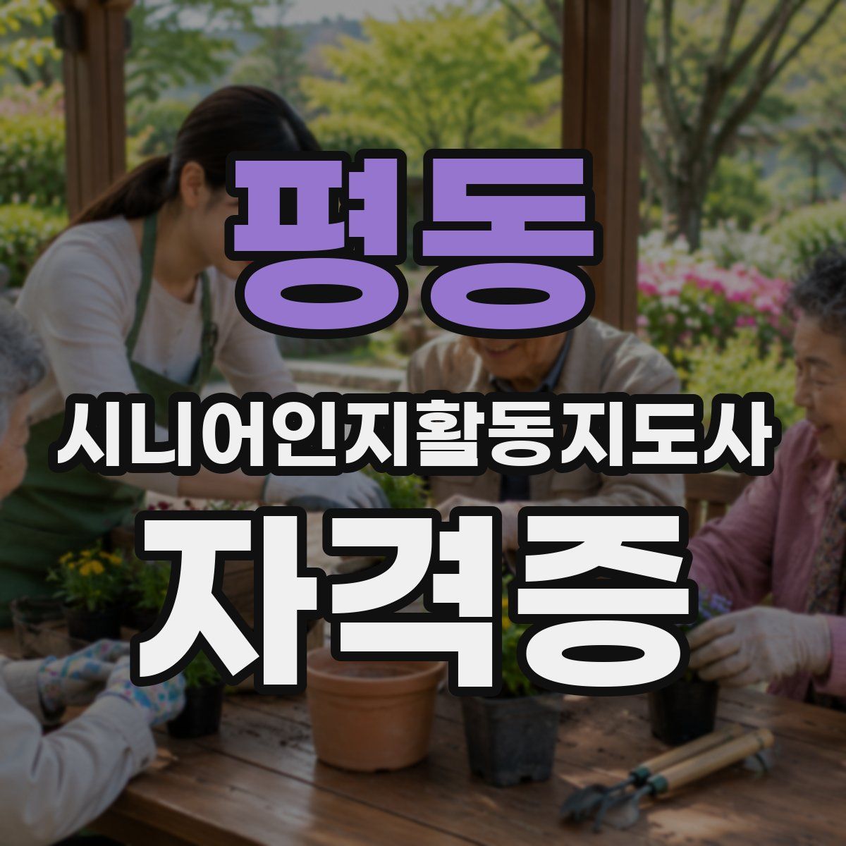 평동 시니어인지활동지도사 자격증