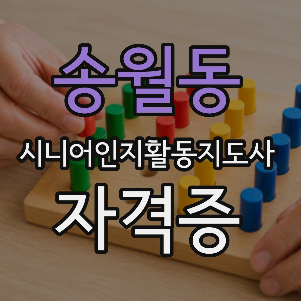 송월동 시니어인지활동지도사 자격증
