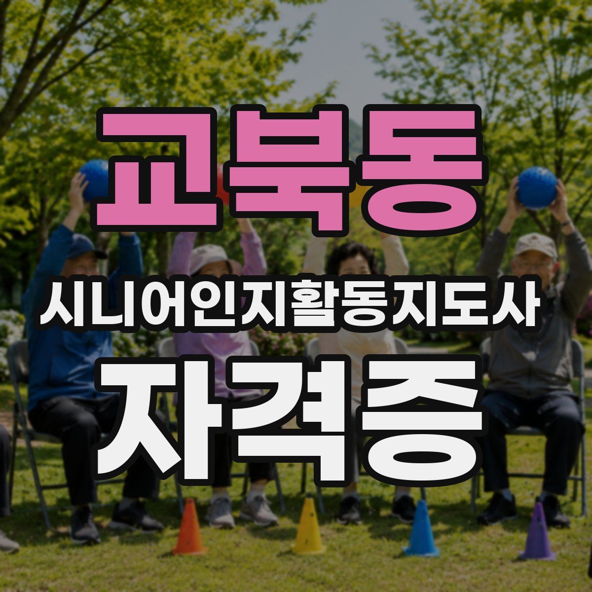 교북동 시니어인지활동지도사 자격증