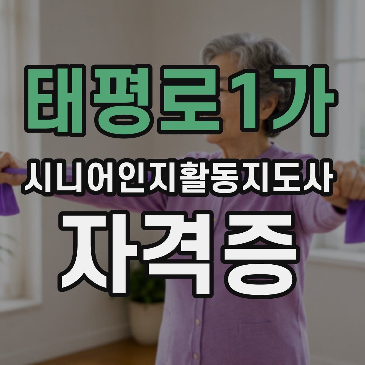 태평로1가 시니어인지활동지도사 자격증