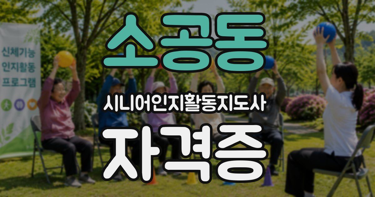 소공동 시니어인지활동지도사 자격증