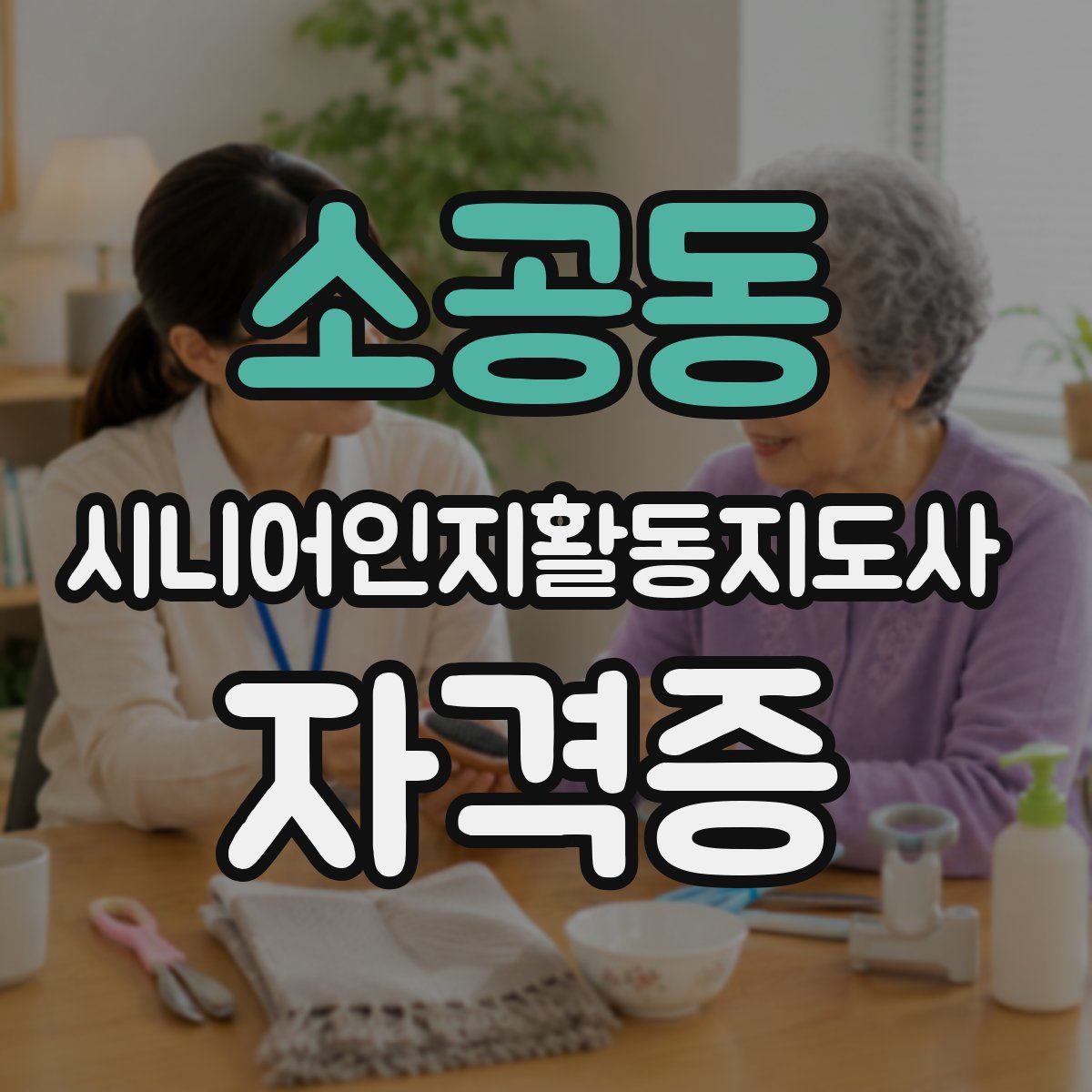 소공동 시니어인지활동지도사 자격증