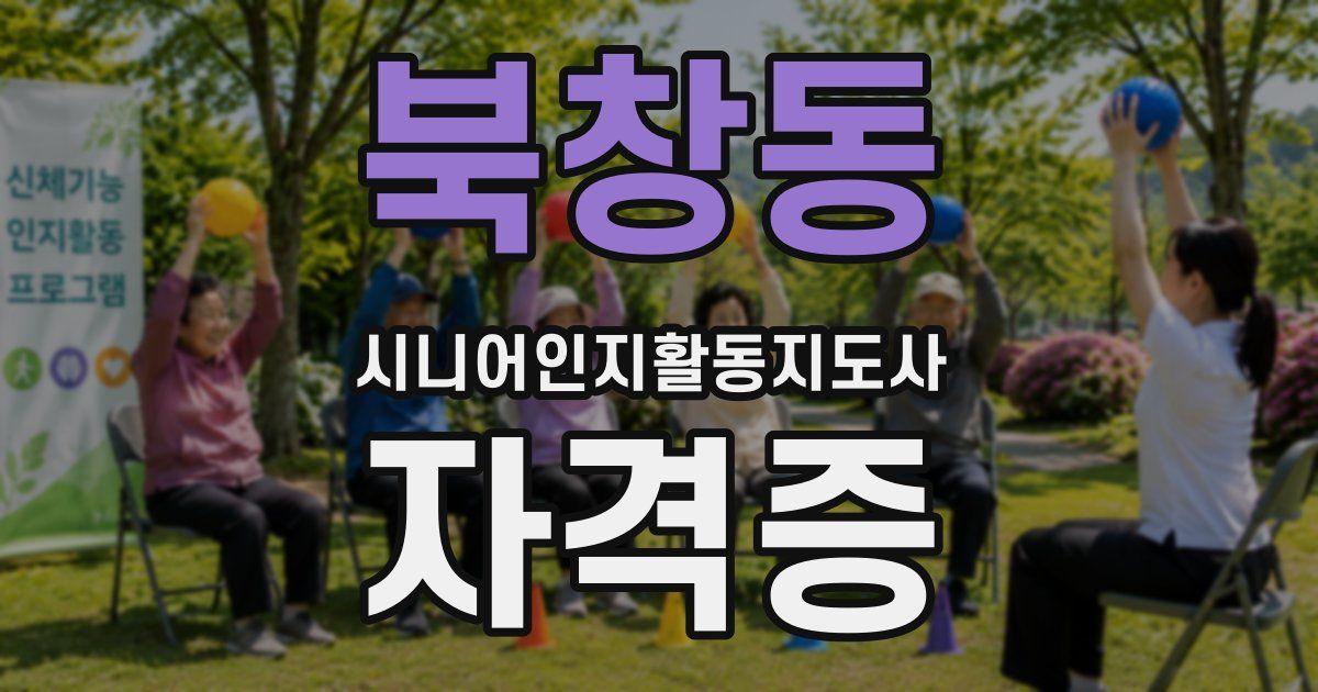 북창동 시니어인지활동지도사 자격증