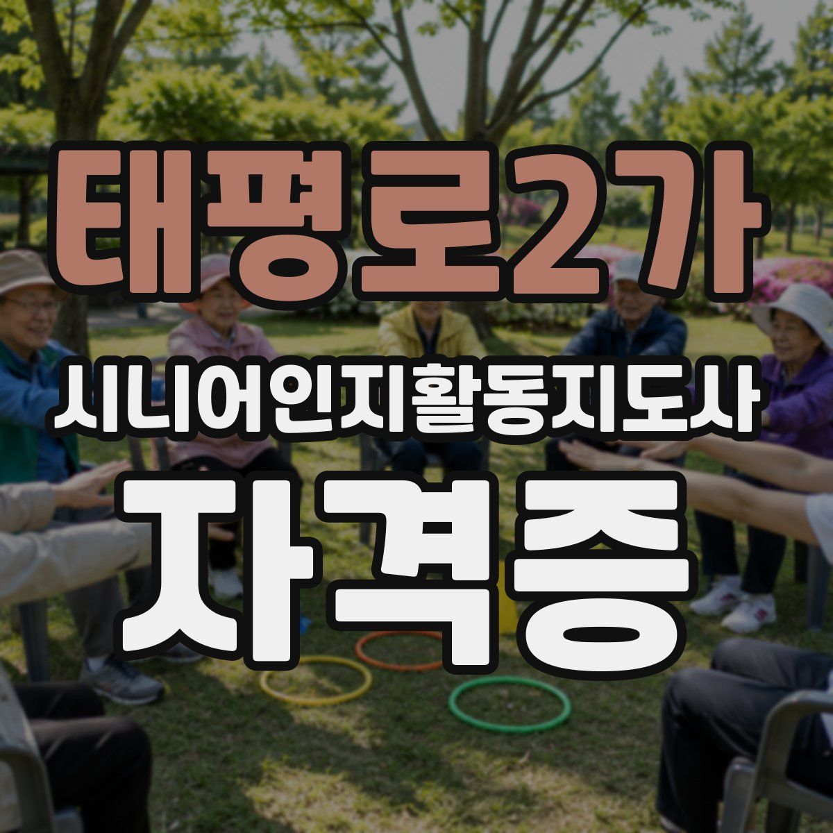 태평로2가 시니어인지활동지도사 자격증