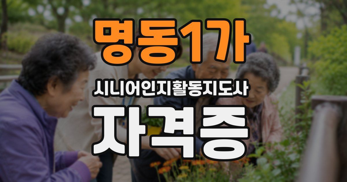명동1가 시니어인지활동지도사 자격증