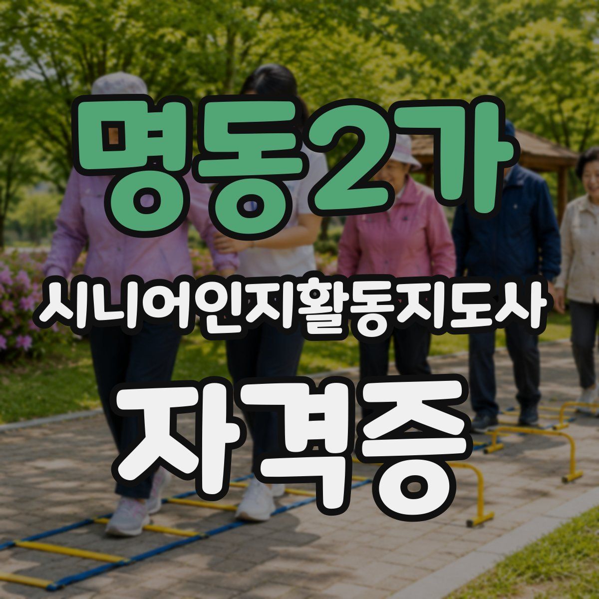 명동2가 시니어인지활동지도사 자격증
