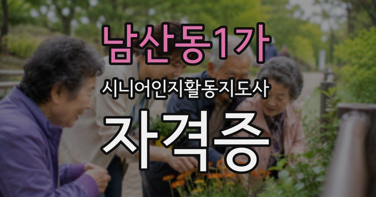 남산동1가 시니어인지활동지도사 자격증