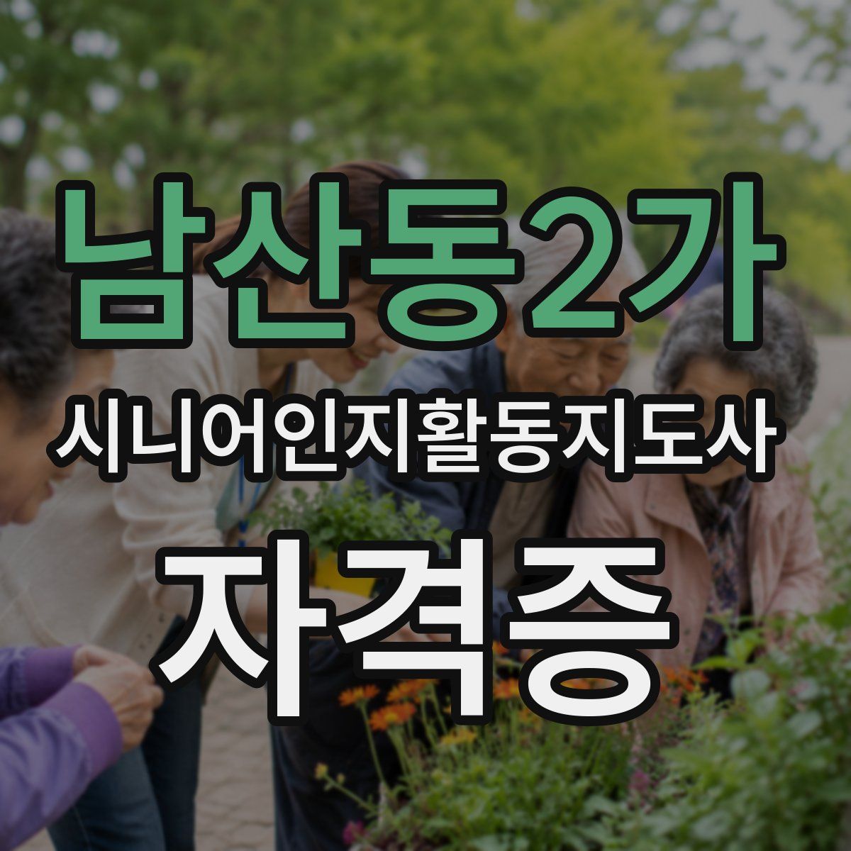 남산동2가 시니어인지활동지도사 자격증