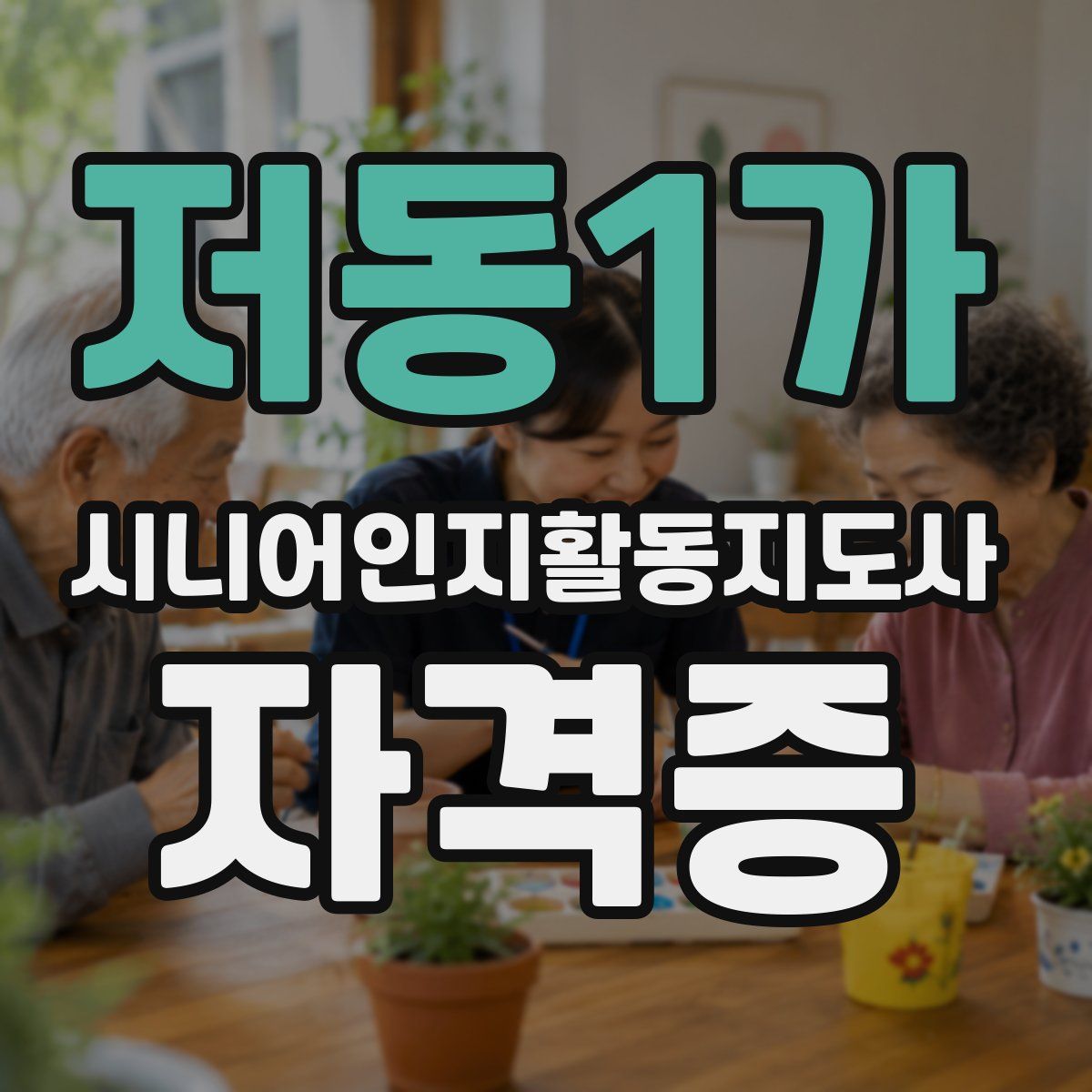 저동1가 시니어인지활동지도사 자격증