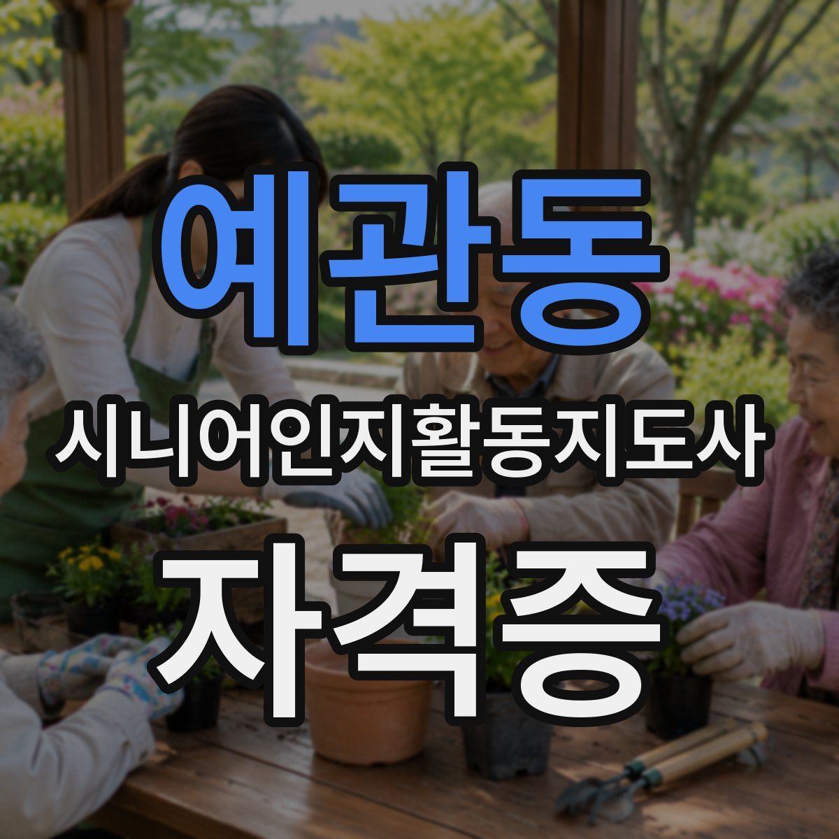 예관동 시니어인지활동지도사 자격증