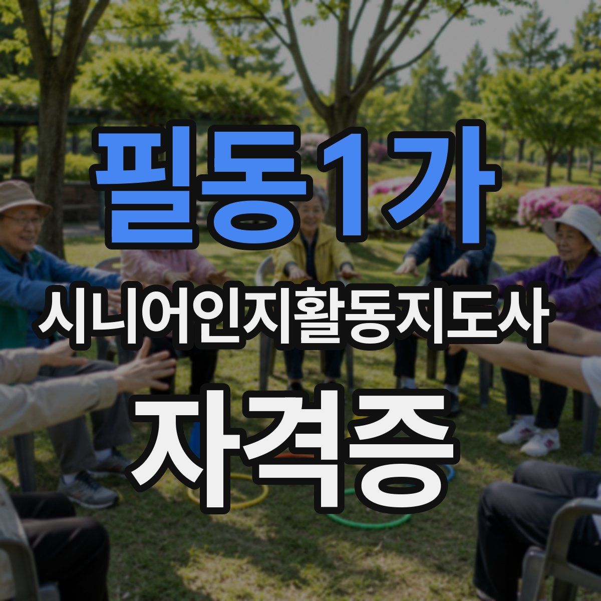 필동1가 시니어인지활동지도사 자격증