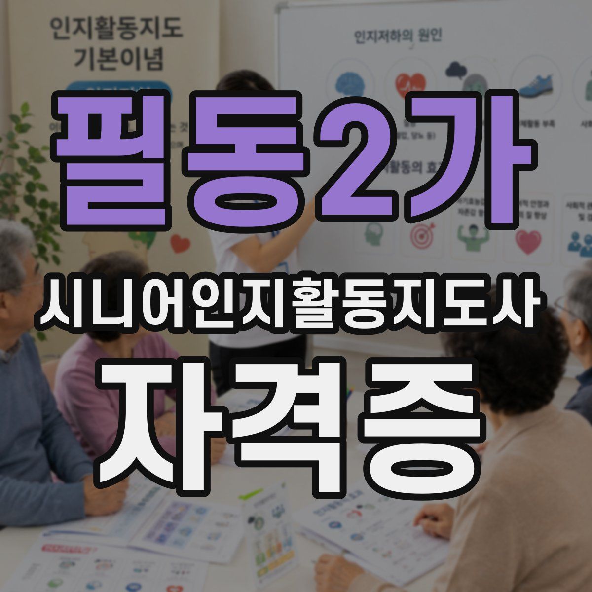 필동2가 시니어인지활동지도사 자격증