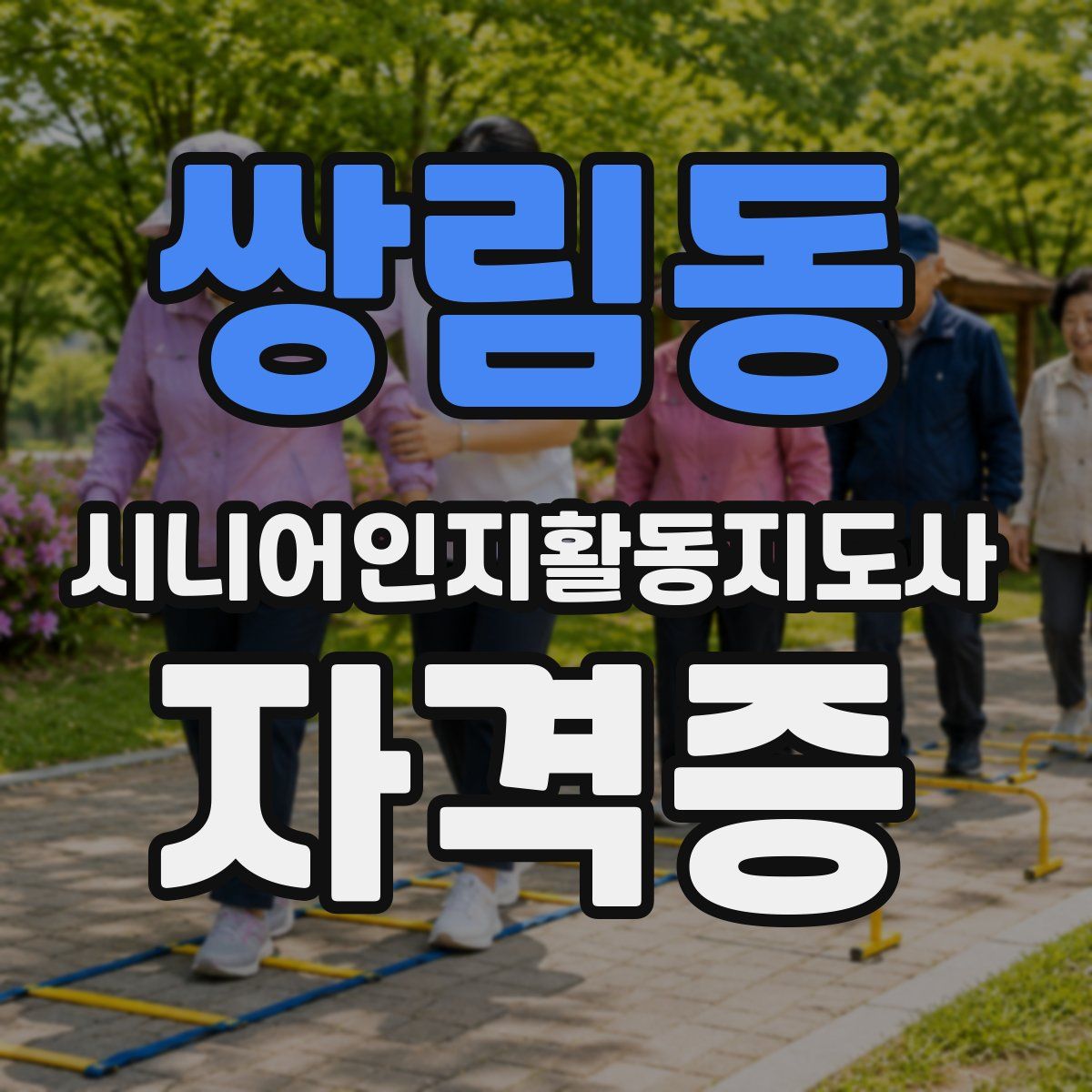 쌍림동 시니어인지활동지도사 자격증