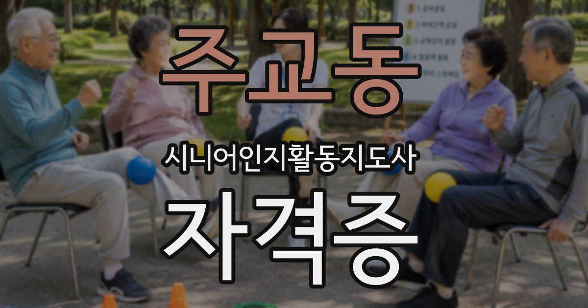 주교동 시니어인지활동지도사 자격증