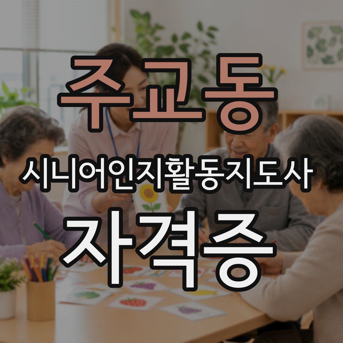 주교동 시니어인지활동지도사 자격증
