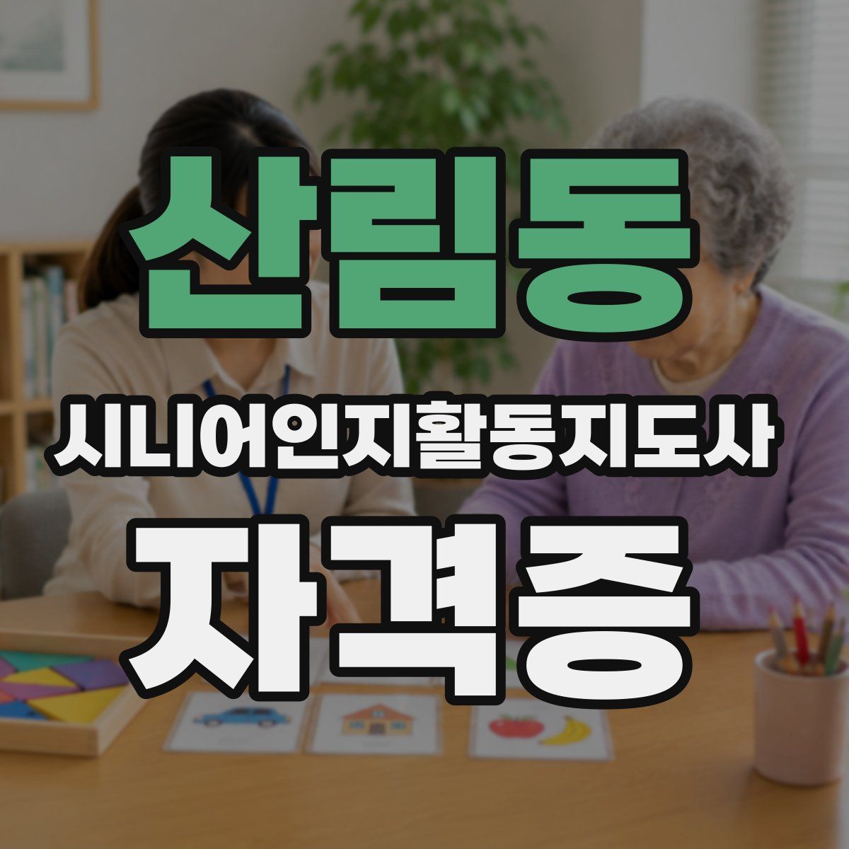 산림동 시니어인지활동지도사 자격증