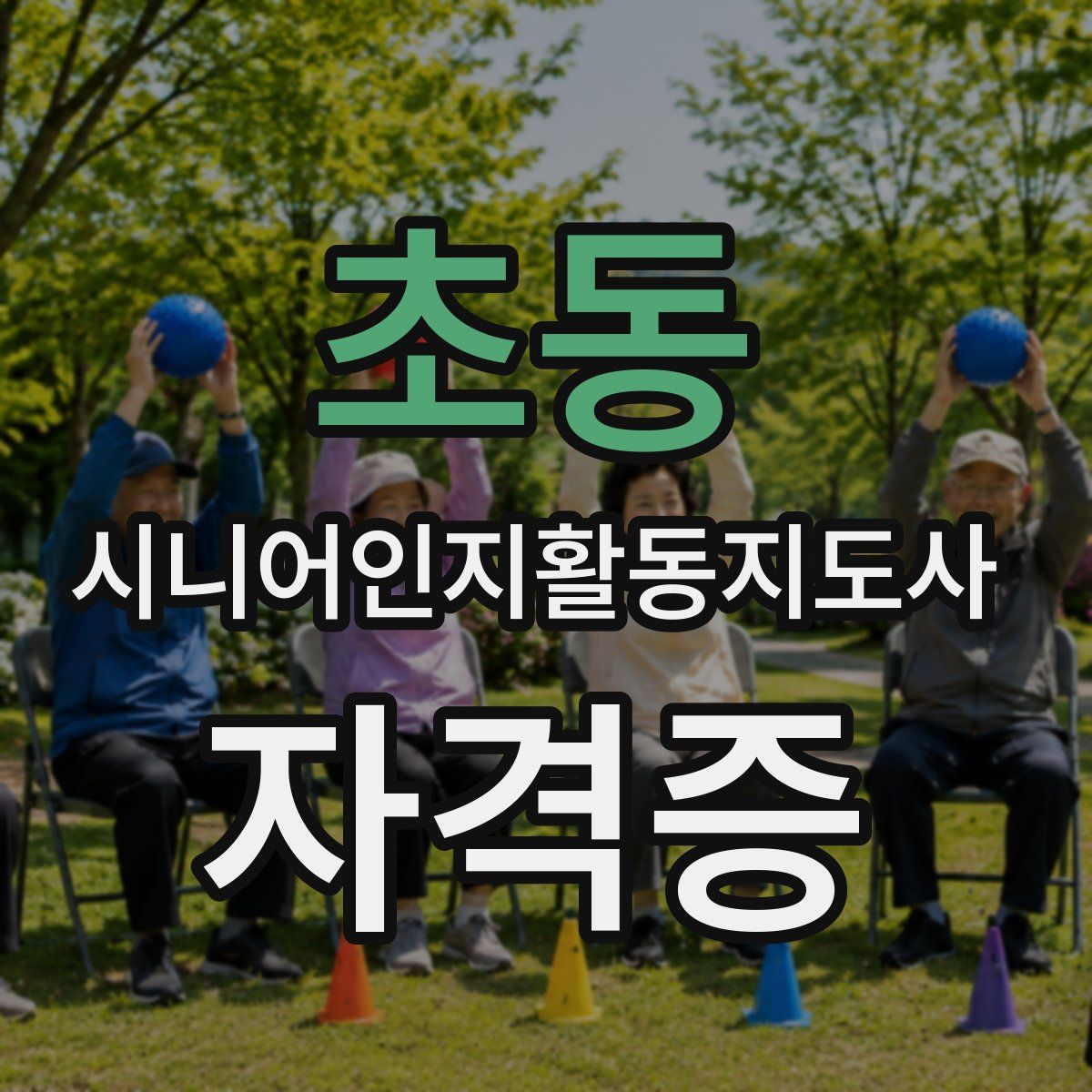 초동 시니어인지활동지도사 자격증