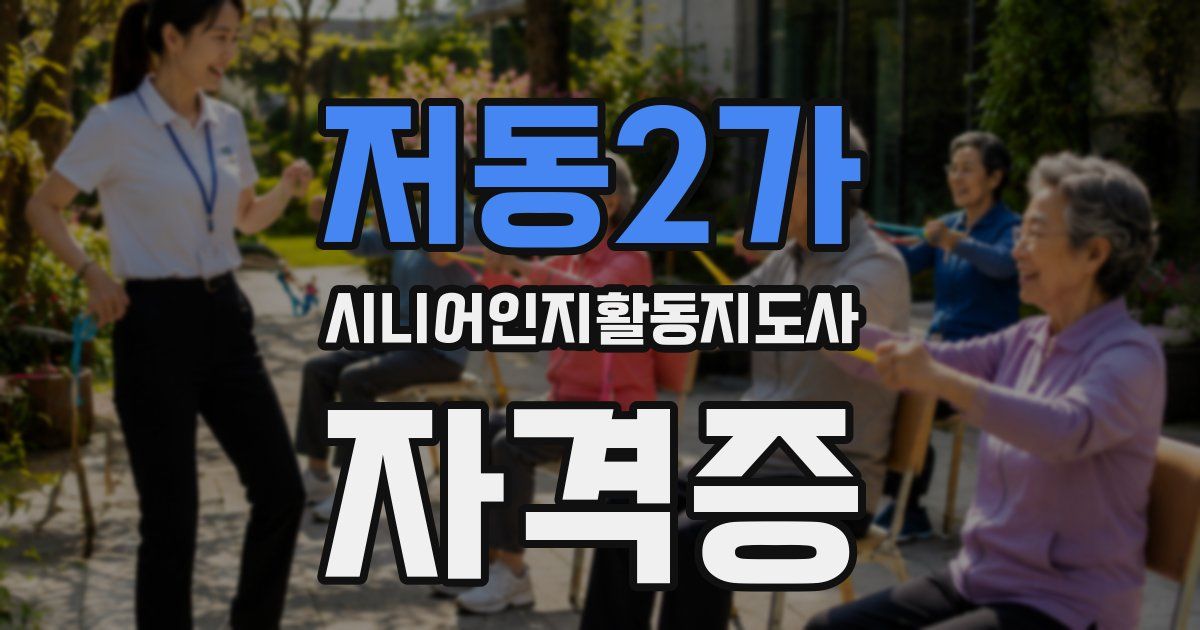 저동2가 시니어인지활동지도사 자격증