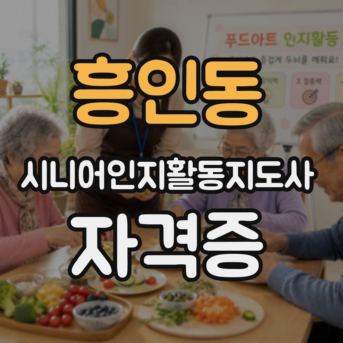 흥인동 시니어인지활동지도사 자격증