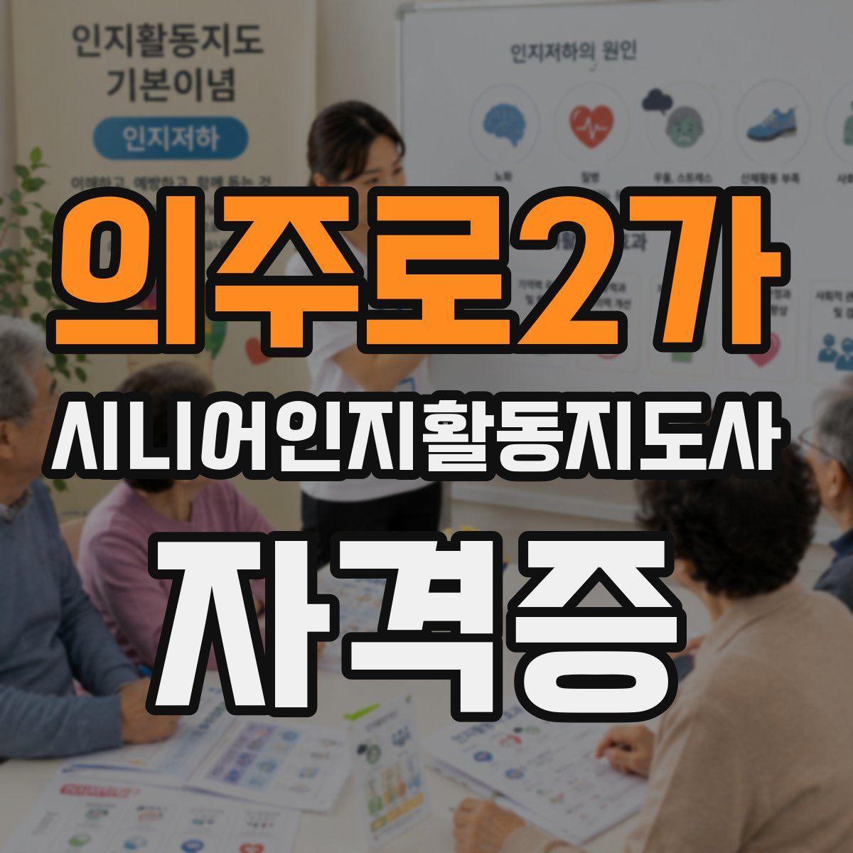 의주로2가 시니어인지활동지도사 자격증