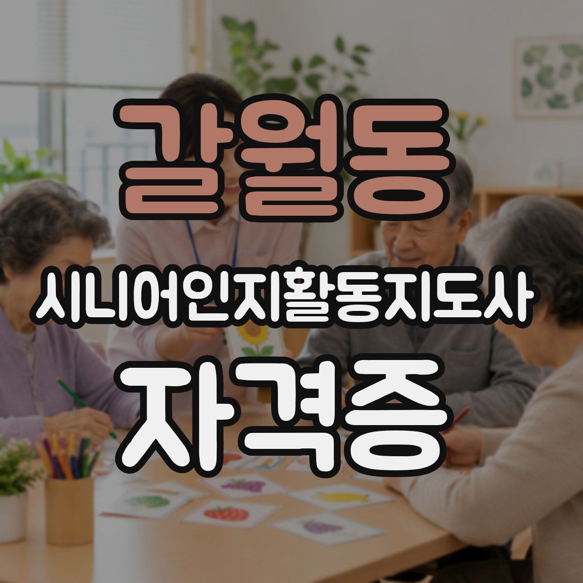 갈월동 시니어인지활동지도사 자격증