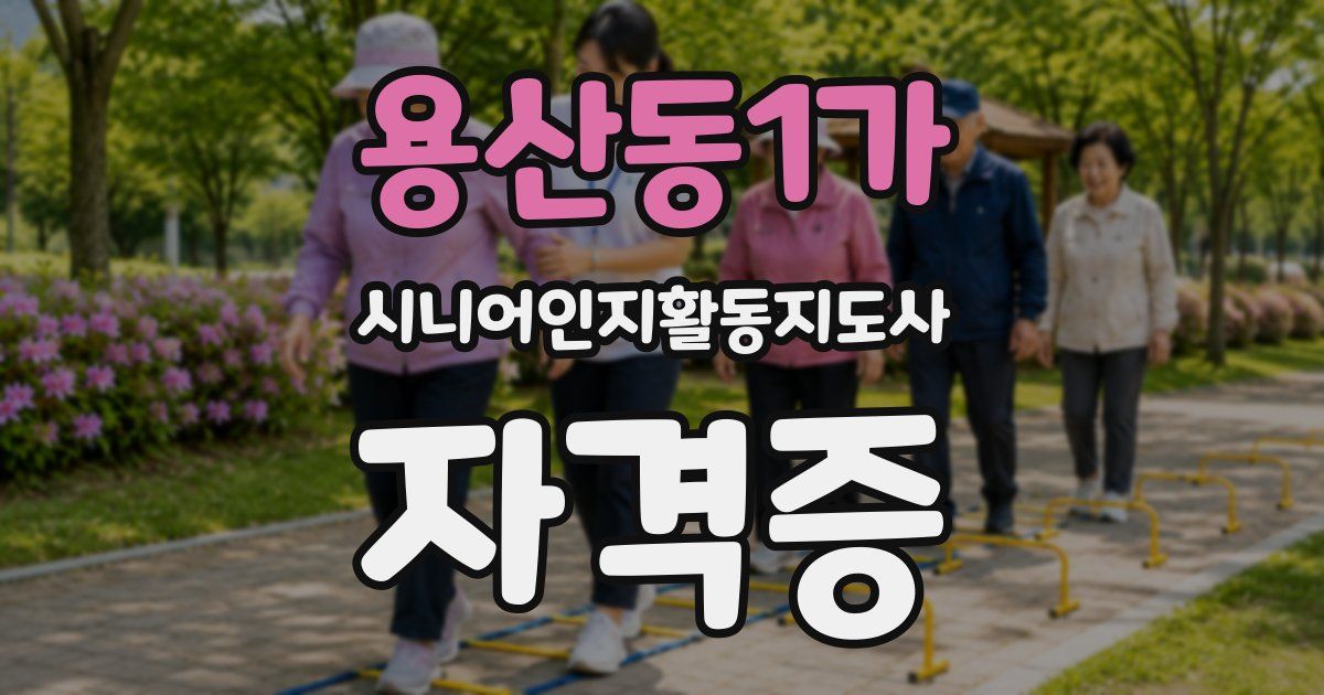 용산동1가 시니어인지활동지도사 자격증
