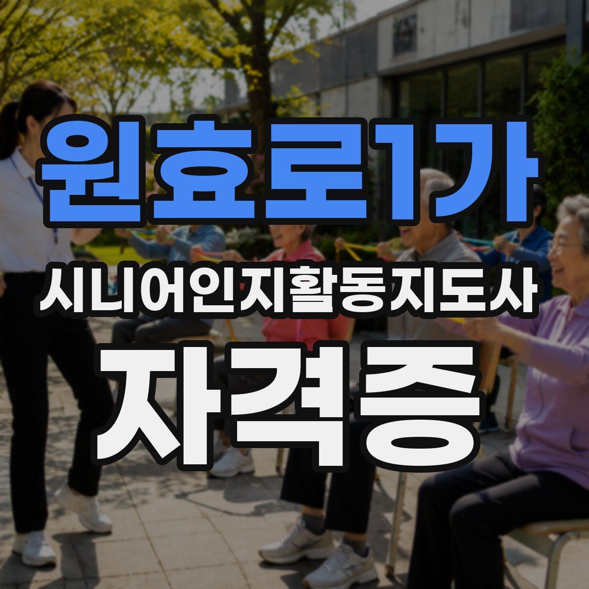 원효로1가 시니어인지활동지도사 자격증