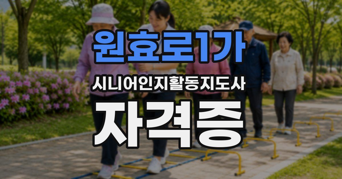원효로1가 시니어인지활동지도사 자격증