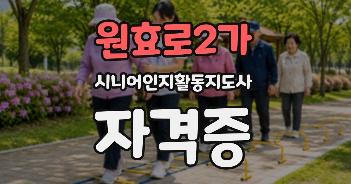 원효로2가 시니어인지활동지도사 자격증