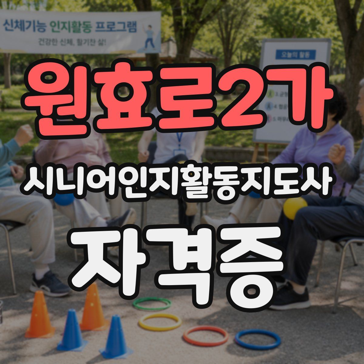 원효로2가 시니어인지활동지도사 자격증