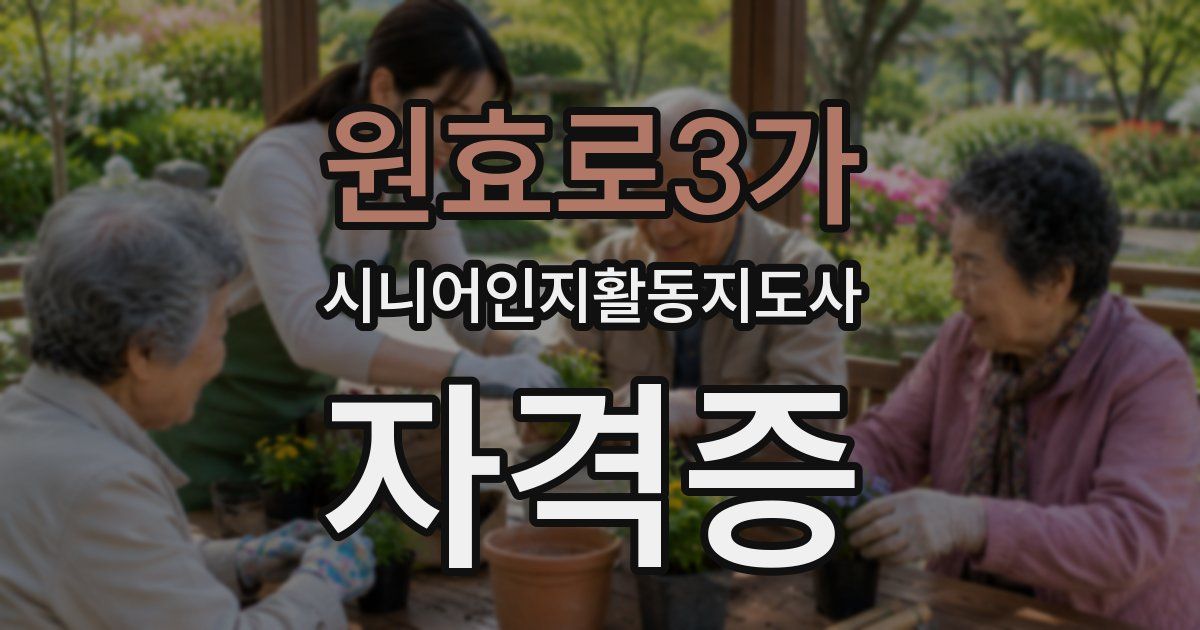 원효로3가 시니어인지활동지도사 자격증