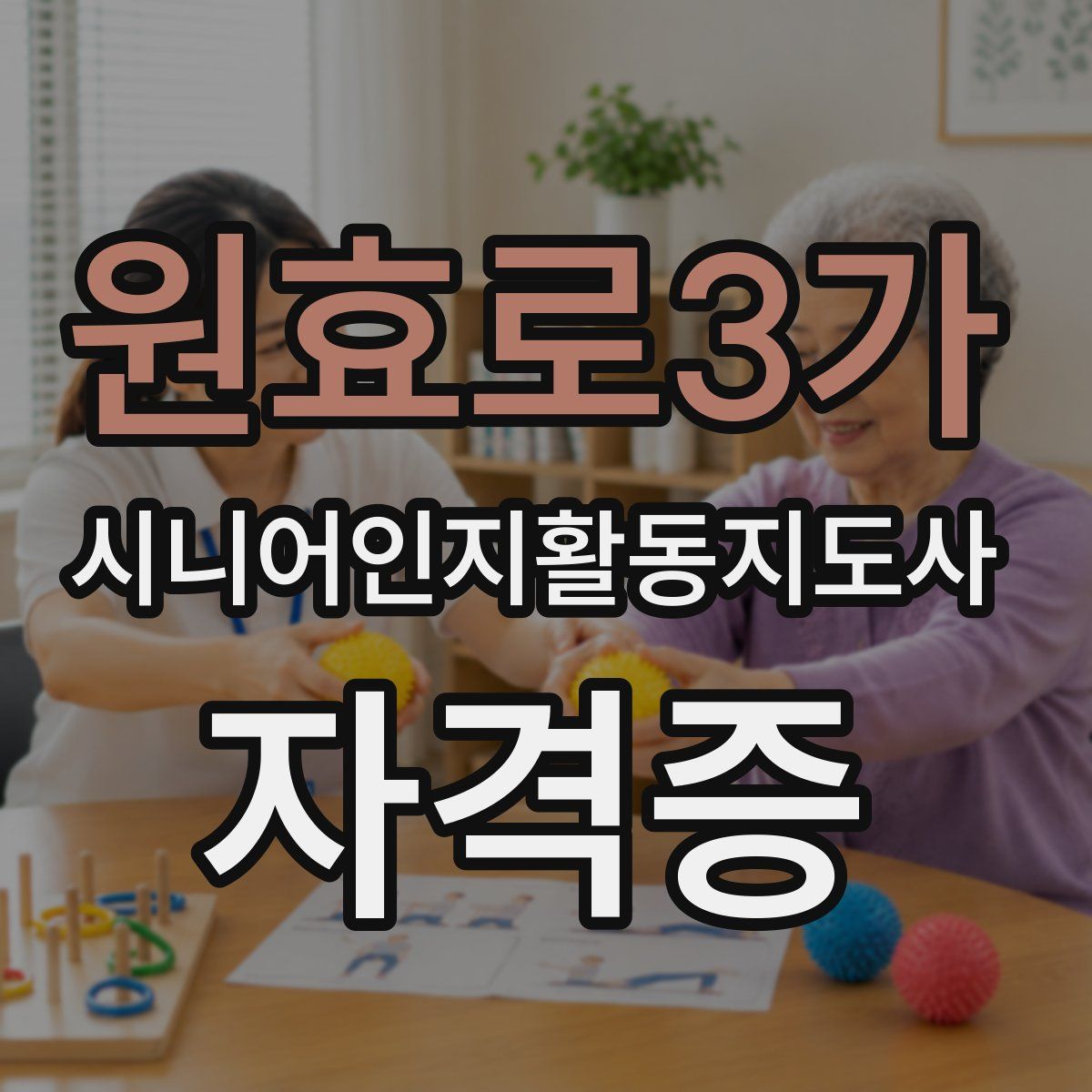 원효로3가 시니어인지활동지도사 자격증