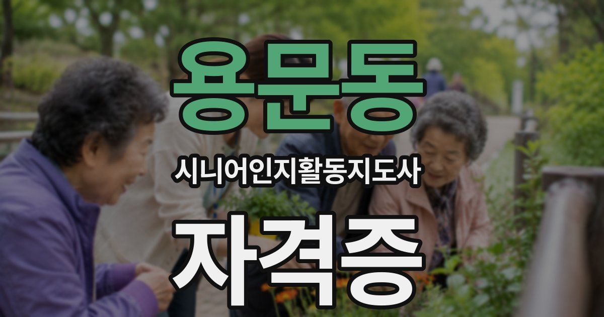 용문동 시니어인지활동지도사 자격증